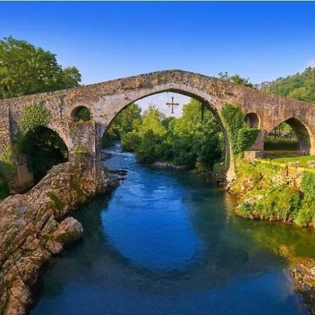 Apartamento Entero El Puente Onís エクステリア 写真
